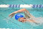 Swimming & Diving vs Babson  Swimming & Diving vs Babson College. - Photo by Keith Nordstrom : Wheaton, Swimming